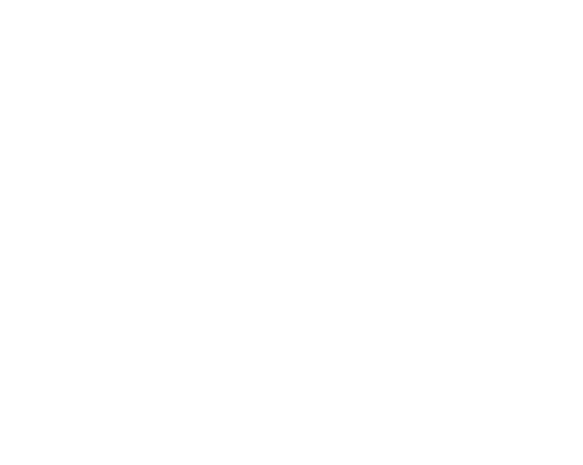 T-shirt Heavy Logo lettere bianche WS
