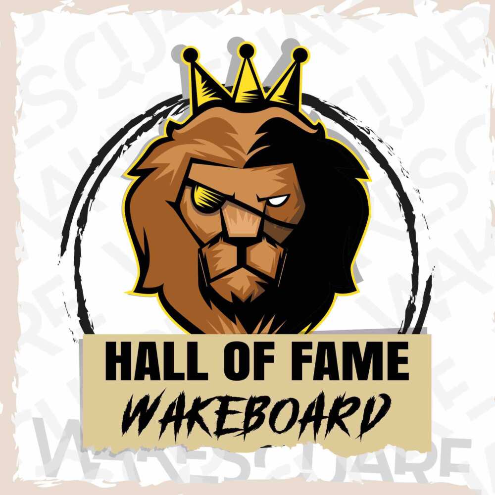 Hall of fame: Best Wakeboard Riders Ever LOGHI HALL OF FAME WAKESKATE E WAKEBOARD B 04 e1612000549765