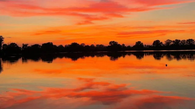 Risultati di ricerca directory Anteprima wakepark Cable Milano