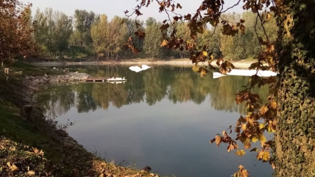 Anteprima wakepark Greenlake