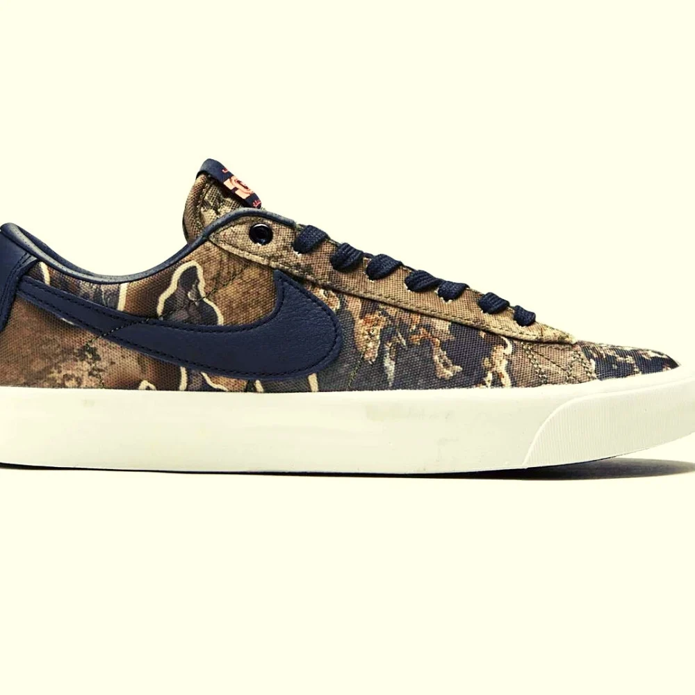 Anteprima scarpe wakeskate Nike SB