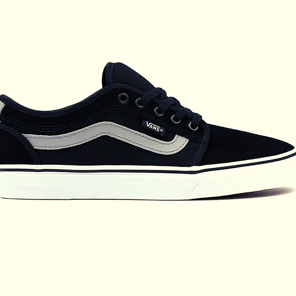 Anteprima scarpe wakeskate Vans