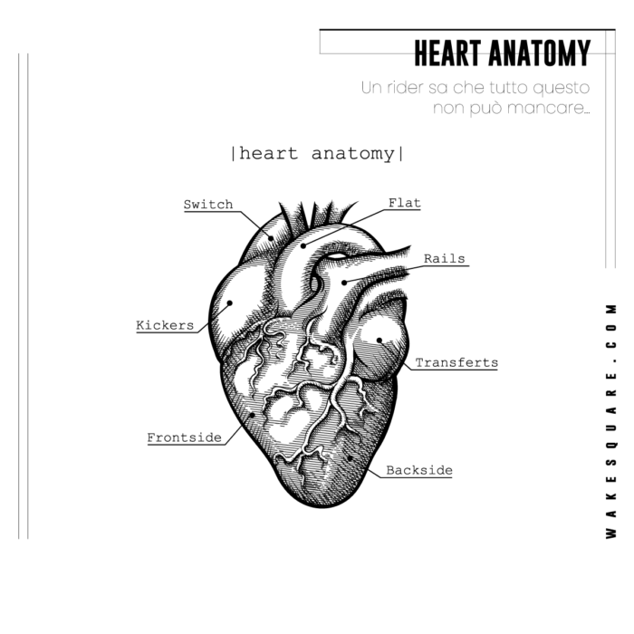 T-shirt Premium Heart Anatomy