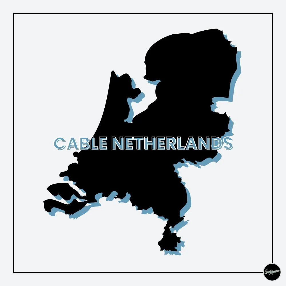 Scopri i migliori wakepark dei Paesi Bassi Sagoma Paesi Bassi: anteprima wakepark