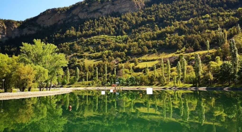 WS - park francia anteprima - Jungle Wake Parc