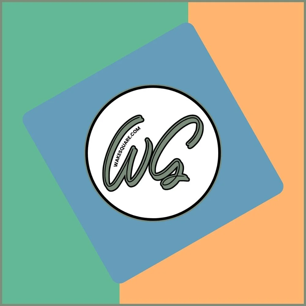 WS โ Hub 2 Article Preview New Logo, New Era