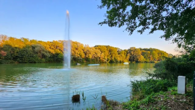 Risultati di ricerca directory WS - park ungheria anteprima - Lake Board
