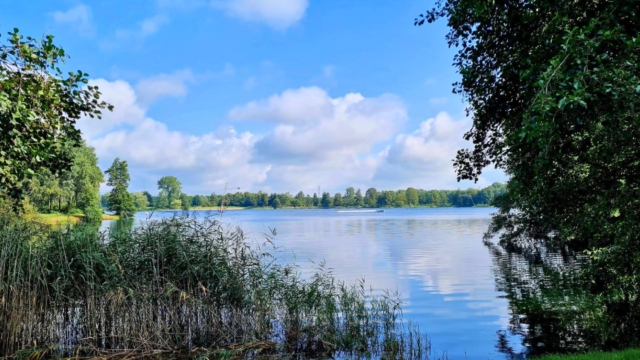 WS – park paesi bassi anteprima – Burnside Cable Park